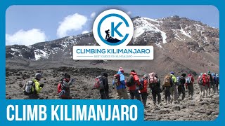 Climbing Mount Kilimanjaro Experience [upl. by Friedman]