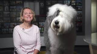 O is for Old English Sheepdog [upl. by Ever]