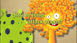 Fungicide No 2 How Do Fungi Attack Plants [upl. by Jock73]