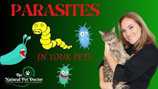 Top Natural Remedies For Parasites In Your Dogs amp Cats  Holistic Vet Advice [upl. by Gherardi929]