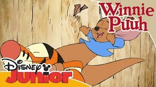 Kleine Abenteuer mit Winnie Puuh  Der SuperDuper Sprung  Disney Junior [upl. by Otti]