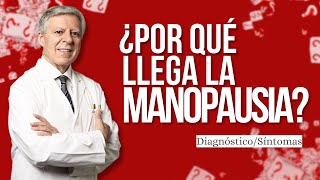 ¿POR QUÉ LLEGA LA MENOPAUSIA [upl. by Akinimod129]