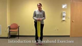 Introduction to Theraband Exercises [upl. by Pell615]