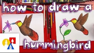 How To Draw A Hummingbird [upl. by Mya]