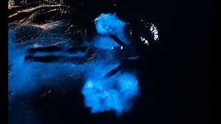 Swimming in a GLOWING OCEAN  Incredible Bioluminescence [upl. by Fern]