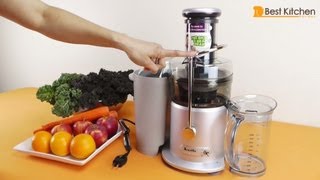 Breville JE98XL Juice Fountain Plus 850Watt Juice Extractor Review [upl. by Ahserb]