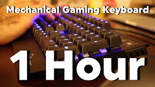 1 Hour Typing  Cherry MX Blue Switch Sound ASMR Mechanical Keyboard [upl. by Ayim]