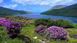 quotThe Irish washerwoman quot by Leroy Anderson [upl. by Danyelle]