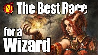 DampD Wizard Best Race in 5th Edition Dungeons and Dragons [upl. by Lorri711]