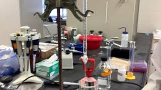 Preparing a pH 7 4 Potassium Phosphate Buffer part 2 [upl. by Haraz650]