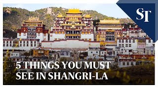 5 things you must see in ShangriLa [upl. by Iaverne482]