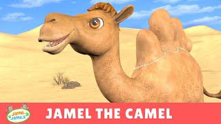 Jamel the Camel  Jamil and Jamila Songs for Kids [upl. by Tomi85]