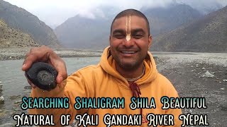 Searching Sri Shaligram Shila Beautiful Natural of Kali Gandaki Rivar Nepalshaligramcollection [upl. by Llenram]