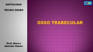 Osso trabecular [upl. by Inittirb467]