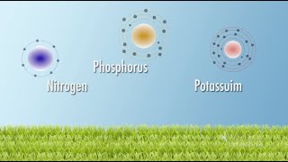 Soil Nutrients  From the Ground Up [upl. by Alika688]