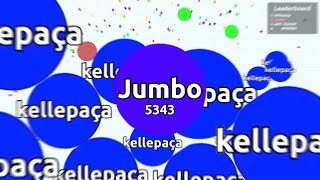 SOLO DESTROYING TEAMS in AGARIO [upl. by Reppep]