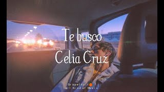 Te busco  Celia Cruz letra  lyrics HQ 🍊 [upl. by Gimble]