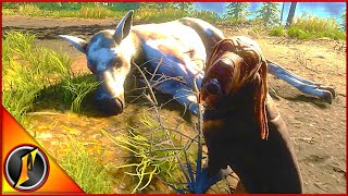 First Hunt with Bloodhounds in Call of the Wild [upl. by Yetti]