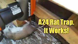 A24 Rat Trap from GoodNature Review [upl. by Ahsinotna753]