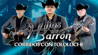 Los Hijos De Barron Corridos Con Tololoche Mix 2020 [upl. by Adala]