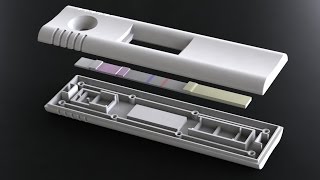 DCN Diagnostics Lateral Flow Assay Development [upl. by Ruffin]