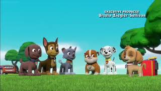 Paw patrol Clip Pup pup boogie Dance party [upl. by Enitsua]