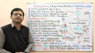 Diabetes Mellitus Part10 Mechanism of Action of Sulfonylurease  Antidiabetic Drugs  Diabetes [upl. by Ayimat448]