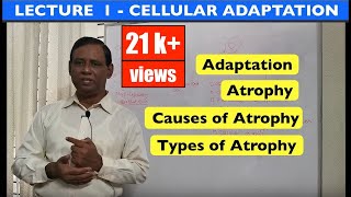 General Pathology  Lecture 1  Introduction and Cellular adaptation [upl. by Ventura]