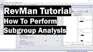 RevMan Tutorial  How To Perform Subgroup Analysis [upl. by Stead]