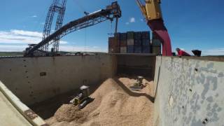 mv Hollandia loading woodchips in Sheet Harbour [upl. by Dahsra]