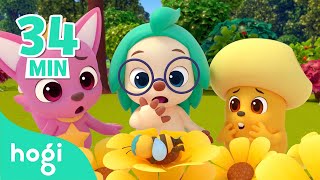 Baby Bumblebee and More  Compilation  Sing Along with Hogi  Play with Pinkfong amp Hogi [upl. by Bertie]