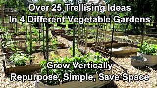 Over 25 Vegetable Garden Trellising Designs Crop Examples Materials Vertical Growing Ideas [upl. by Bay]