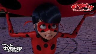 🐞💥 Top 5 momente din Miraculous Buburuză și Motan Noir  Disney Channel România [upl. by Dloreh]