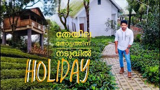 Holiday Resort  Vagamon  മഞ്ഞിൽ മൂടിയ തേയില തോട്ടത്തിൽ ഒരു സ്റ്റേ  EP  02 [upl. by Ahsiekin]