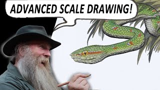 HOW TO DRAW SNAKE SCALES ADVANCED with Waglers Pit Viper [upl. by Ahcsim]