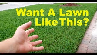 How To Fix An Ugly Lawn  Lawn Care Tips For Beginners [upl. by Adaiha133]