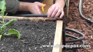 DIY Gravity Drip Irrigation System  Dont Let Them Plants Get Thirsty [upl. by Gimble924]