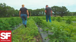 Farmer Grows Hemp for the First Time for CBD Oil  Agronomy Spotlight  Successful Farming [upl. by Gernhard]