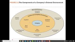 Evaluating the Business Internal amp External Environments [upl. by Ellac]