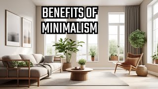 The Minimalism Lie [upl. by Einial]