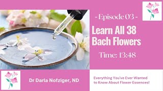 Learn All 38 Bach Flower Remedies Short Version [upl. by Niawat]