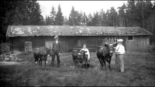 Svensk folkmusik  Låt Till Far [upl. by Paik]