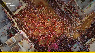 The Colourful Rituals of Holi in Nandgaon  India From Above  National Geographic [upl. by Laenahtan]