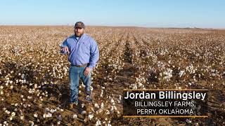 Growing and Harvesting of Cotton [upl. by Aneerbas]