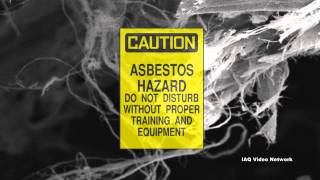 Mesothelioma  Dr Raja Flores  Mount Sinai Hospital [upl. by Denise]