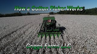 How A Cotton Picker Works 4K [upl. by Nwahsaj]