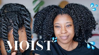 Moisturise DRY Natural Hair In 4 Easy Steps 🔢 Detailed wProduct Recommendations [upl. by Hpesojnhoj432]