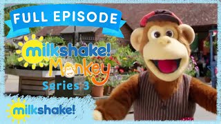 Milkshake Monkey  Rare Breeds [upl. by Atiuqes]