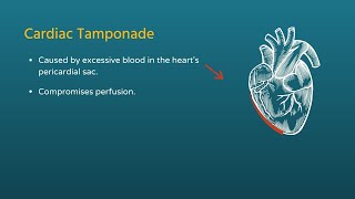 Chest Trauma Cardiac Tamponade [upl. by Frans]