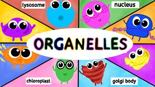 Organelles Structure and Function AP BIOLOGY [upl. by Ecirtnahs]